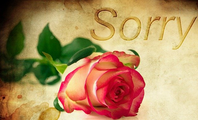 kreslený nápis sorry a růže
